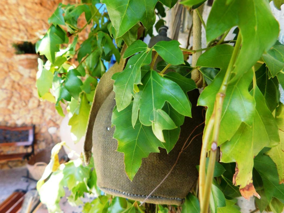Agriturismo Case Sgaraglino Marinella di Selinunte Εξωτερικό φωτογραφία